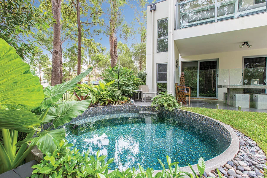 beautiful plunge pool by allcast precast in a backyard on the gold coast