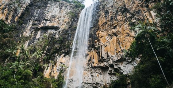 Purling Brook Falls cascading in Springbrook National Park.