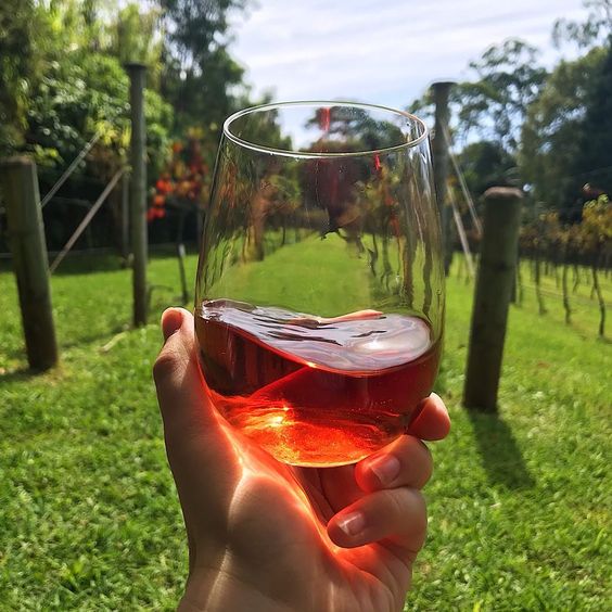 A glass filled with red wine.